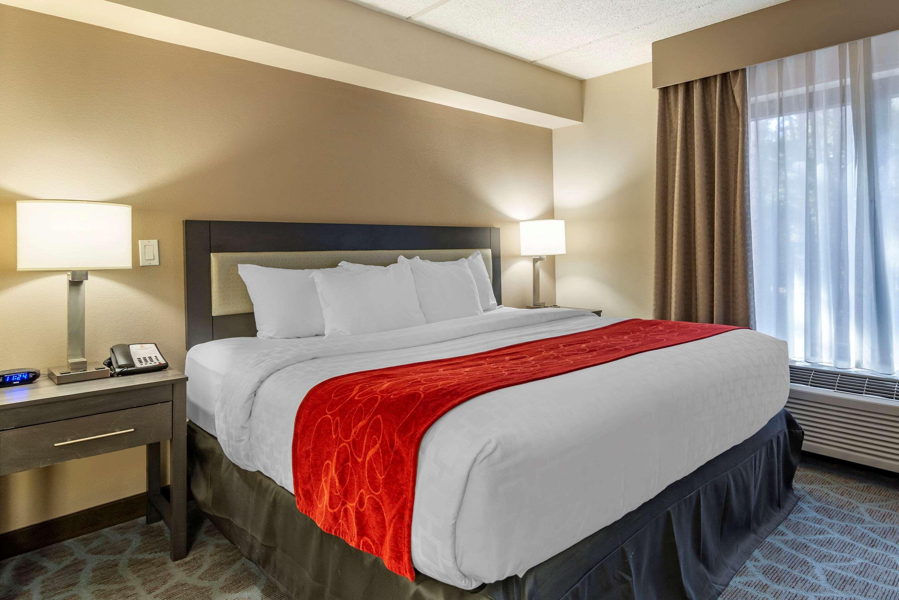Comfort Suites Alpharetta-Roswell - Atlanta Area エクステリア 写真
